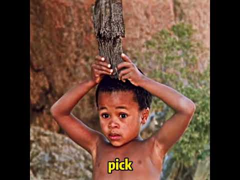 A piece of tree bark scares off a hyena twice.#movie#hearttouching #shorts