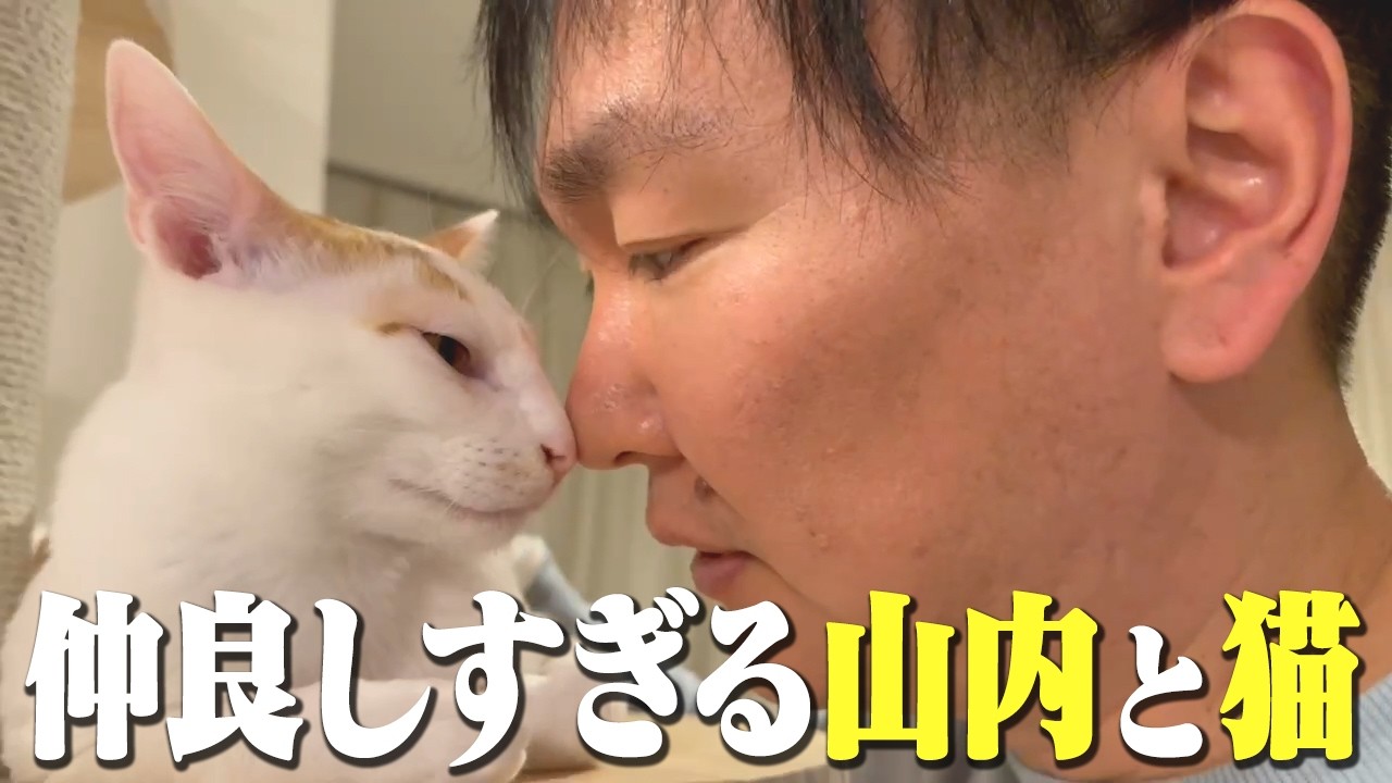 【仲良し】山内と猫4兄弟はこんなにも仲良くなりました