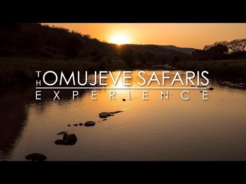 The Omujeve Safaris Experience in Namibia | Epic Safari Adventure with Raven 6 Studios