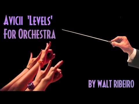 Avicii 'Levels' For Orchestra