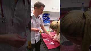 Dog Bitten By Venomous Snake Needs Antivenom ASAP #shorts #dogs #vets