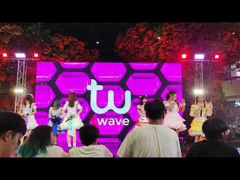 Bizcuit : Sukidayo @ T-Wave Music - Central Bangna【4K 60FPS】