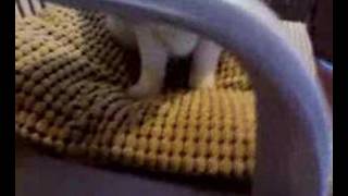 MAMA  MILKA 2º VIDEO