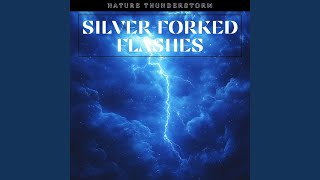 White Wall and Green Plants