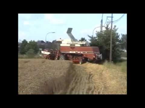 Desmet M.: Maaidorsen.