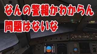 営業時間外でも絶対日本で欠航しない航空