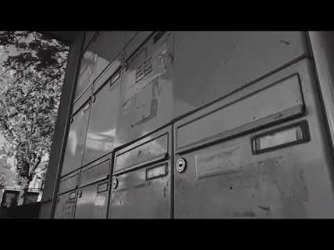 ASAP MOLLY - Bündel (Official Video)
