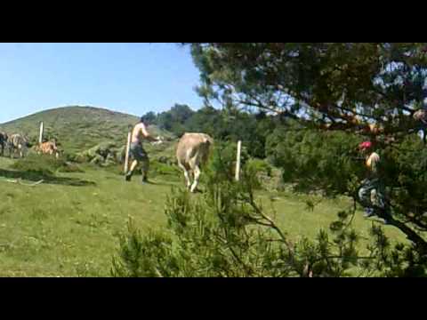 Piluca en accion en Romeria Estollo a Valvanera 2009