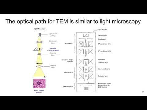 MSE 585 F20 Lecture 19 Module 4 - Comparing TEM to Other Microscopes