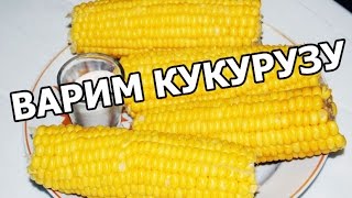 Сколько варить кукурузу по времени для рыбалки