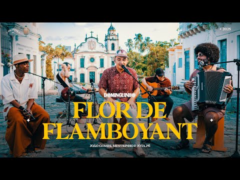 Flor De Flamboyant (part. Mestrinho E Jota.pê) - João Gomes