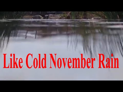 LIKE COLD NOVEMBER RAIN by LIONEL QUICK / INDIE /ACOUSTIC MUSIC