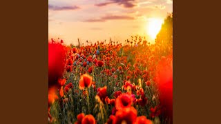 Download lagu This Romeo Is Bled mp3 Download lagu This Romeo Is Bled mp3