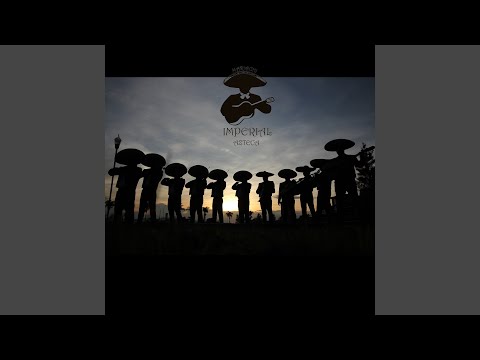 Mariachi Serenade