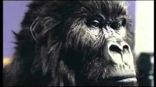 Dairy Milk Gorilla - Suddenly (Angry Anderson)