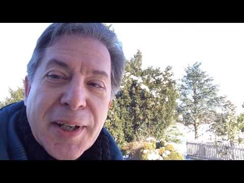 Luis Calvo, Añoranza for String Orchestra (orchestrated by Richard Rosenberg)