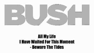 BUSH &quot;All My Life&quot; Lyric Video