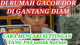 Download lagu Kenapa murai batu di rumah gacor di gantangan diam ?? #muraifighter #muraibatugacor mp3