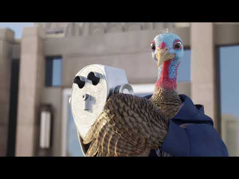 Chantix - Rooftop (2019, USA)