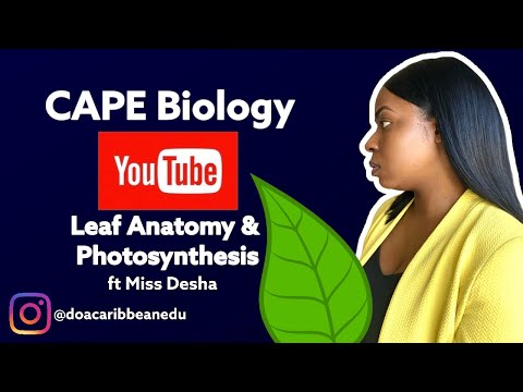 Unidade II de Biologia CAPE: Fotossíntese e Síntese de ATP.