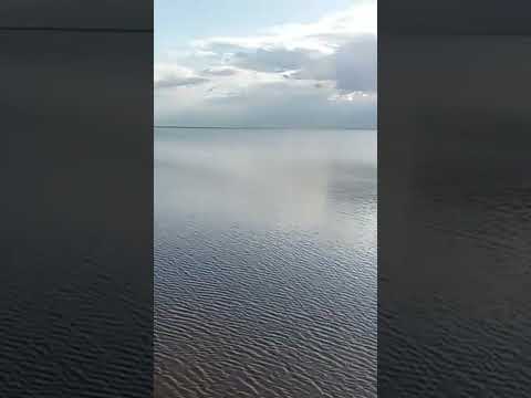 Dorado recien sacado del dique de termas de rio hondo