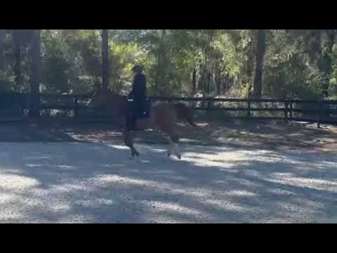Chasity Van Blu Z video 3