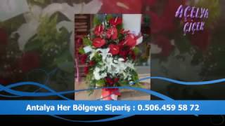 Antalya Çiçek Siparişi  - 0506 459 5872  - Açelya Çiçek