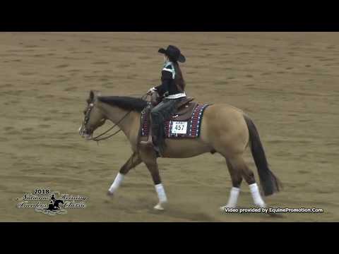 Dunitwithasmokingun ridden by Becca Schaffhauser  - 2018 NRBC (Short Stirrup, Show 2)