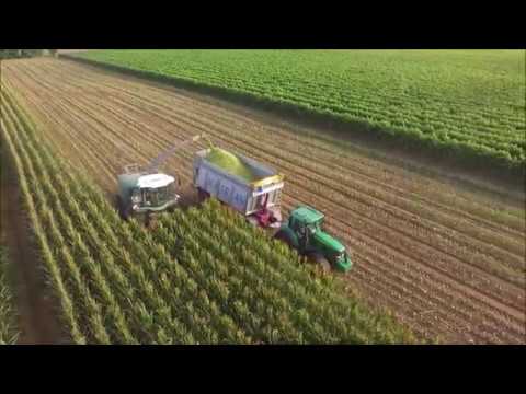 | INSILATO DI MAIS 2018 | MAIS SILAGE 2018 | NARDOTTO |