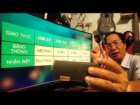 Inateck Type C to Type A Female Adaptor Data Cable