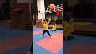 Download lagu empat tahun berlatih Kung Fu Shaolin mp3 Download lagu empat tahun berlatih Kung Fu Shaolin mp3