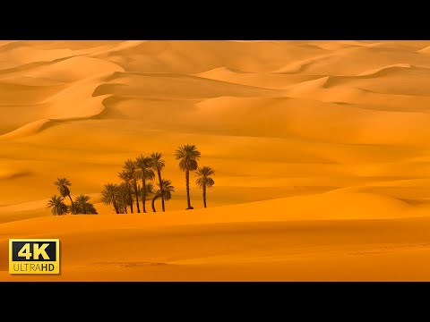 Explore Desert Landscape in 4K Video Ultra HD with Relaxing Music