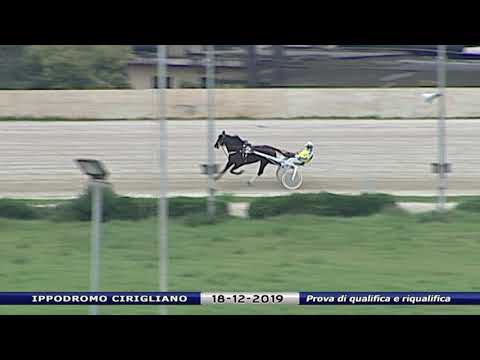 Aversa trotto 18 Dicembre 2019 - Prova di qualifica e riqualifica