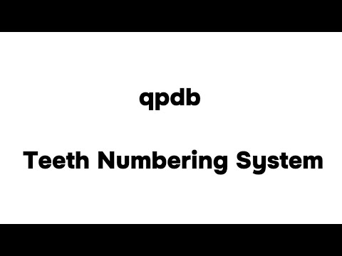 شرح نظام الترقيم الجديد للاسنان | qpdb Teeth Numbering System
