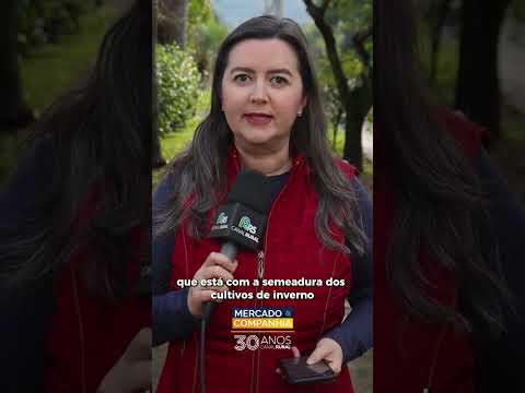 Temporal no Rio Grande do Sul deixa desabrigados e provoca prejuízos milionários no campo