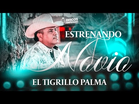 Estrenando Novio - El Tigrillo Palma (VIDEO OFICIAL)