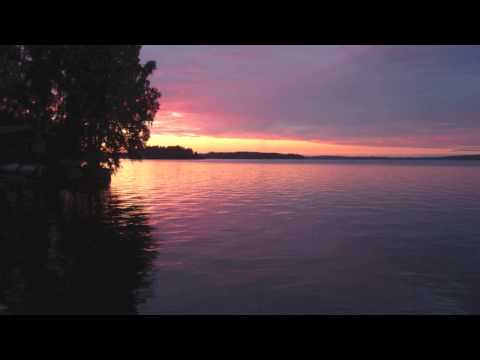 Cultivating Stillness