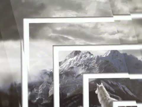 WoNKed Records Single 014: Aben - Hybrid (Festival Mix)