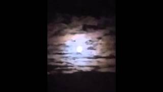 Rend Collective - Finally Free