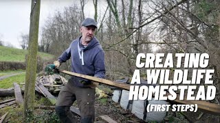 I'm Building A Wildlife Homestead! (First Steps)