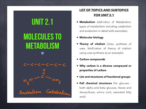 IB Biology Unit 2.1 - Molecules to Metabolism_Part 2 (Molecular Biology Unit 2)