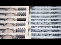 Yen Steadies As Japan Official Says All Options On Table