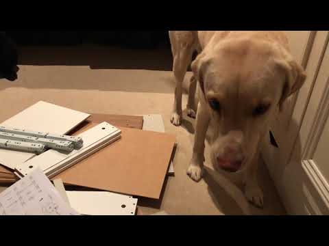 Olive and Mabel - Home Help