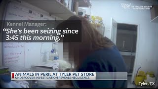 Tyler Petland store kept dead dog in freezer, neglected vet care according to Humane Society