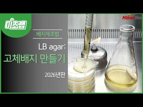 MBcell ��ü���� �����!(LB Agar)