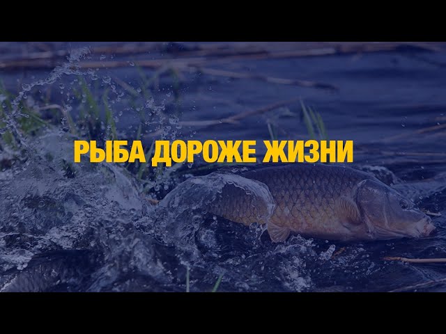 Рыбаков гоняют в Костанае