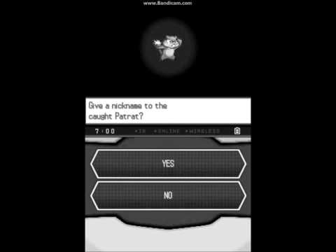 Pokemon White Wedlocke Deaths - Scoutnie