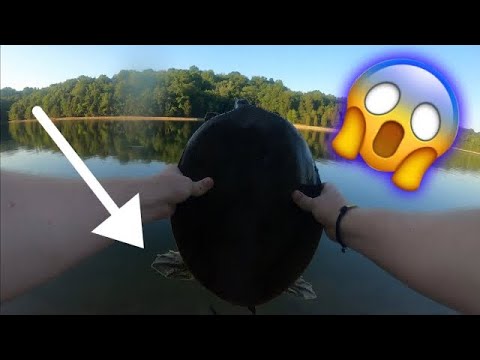 Catfish CATCH AND COOK plus a soft-shell turtle!!
