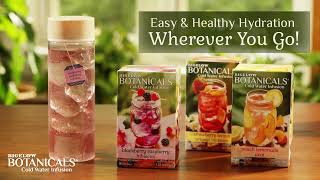 Bigelow Tea Botanicals Cold Water Infusions 