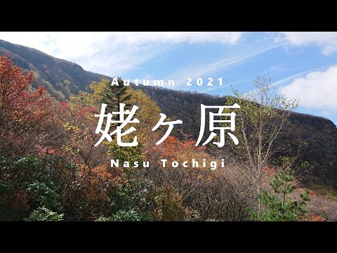 211205 Color Brightness v.05